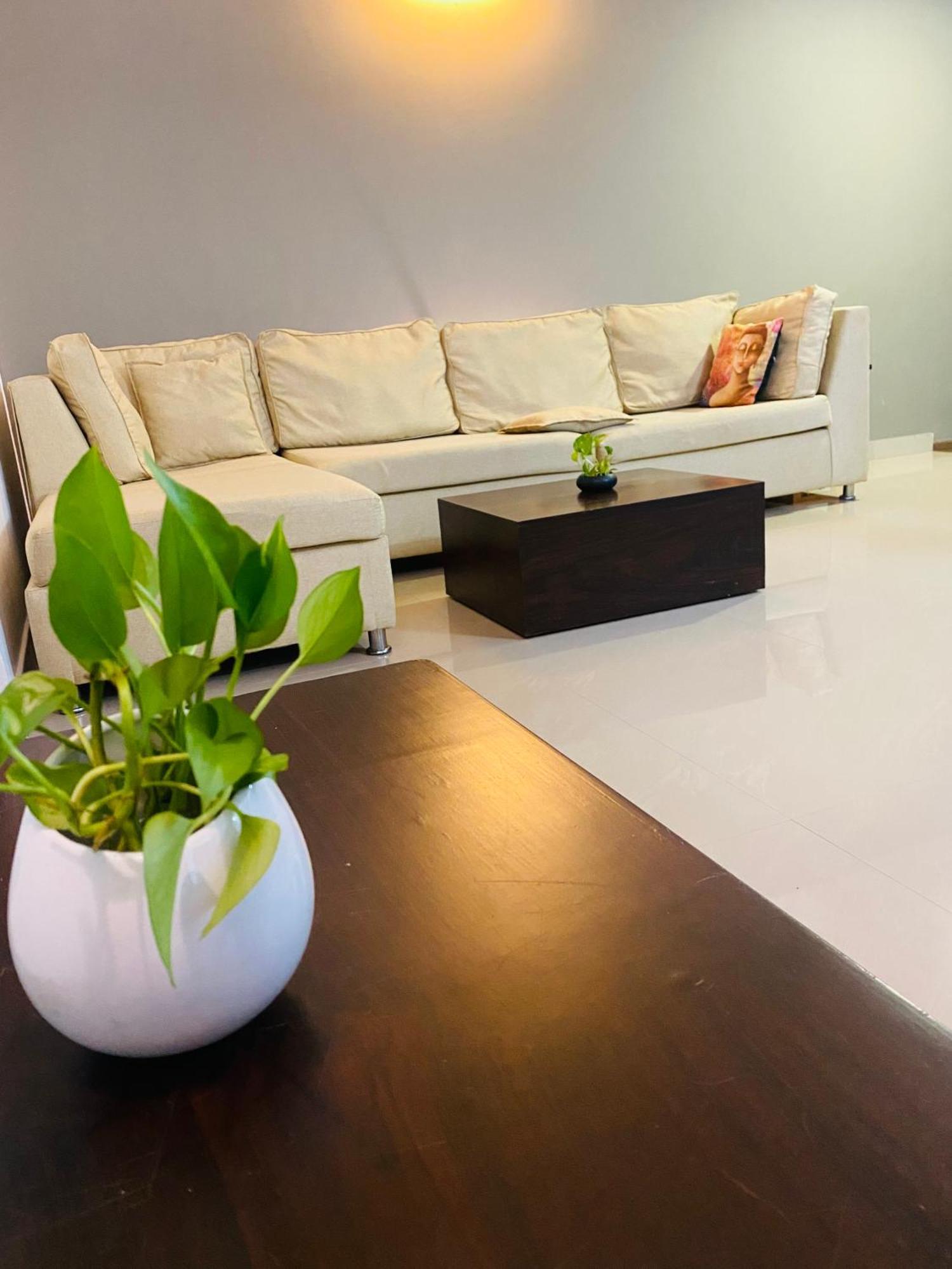 Calm And Cosy 1bhk In